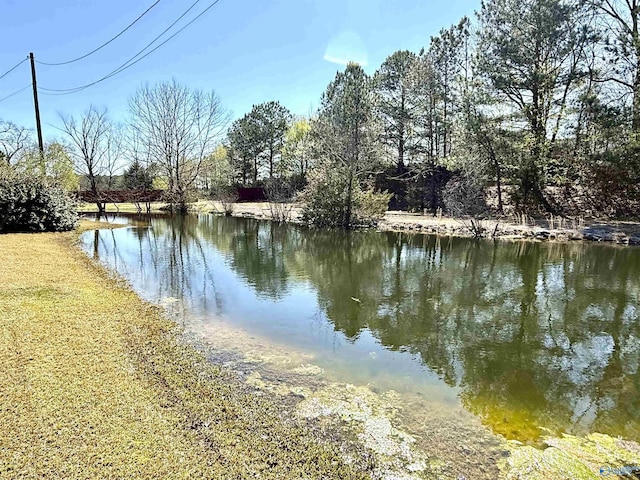 view of water feature