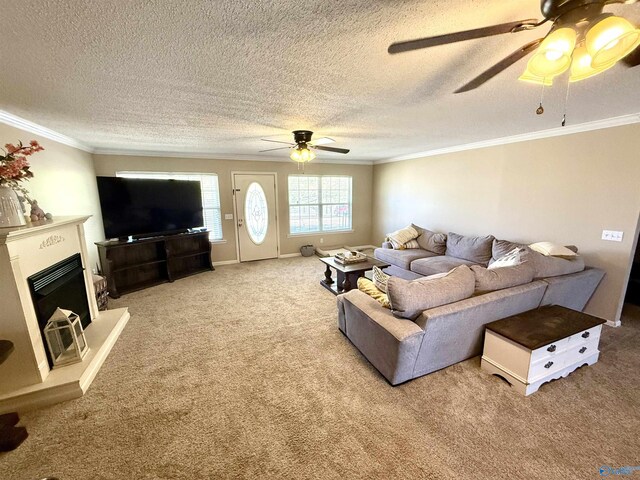 carpeted living room with a textured ceiling, a ceiling fan, and ornamental molding
