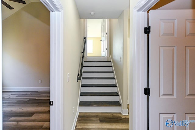 stairs with ceiling fan and hardwood / wood-style floors