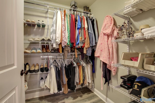 spacious closet with hardwood / wood-style flooring