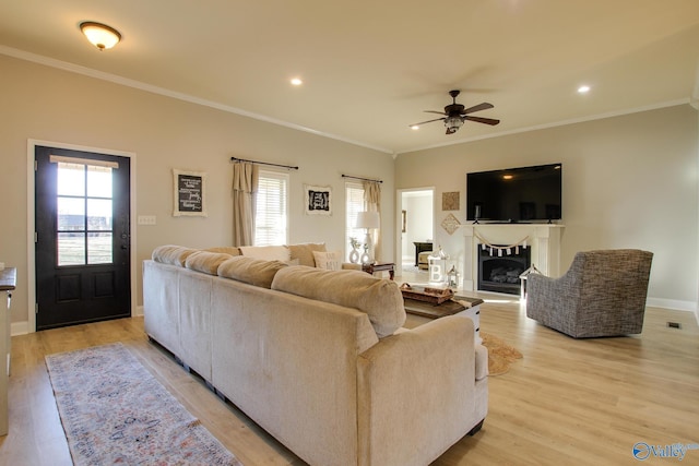 living room with crown molding, ceiling fan, and light hardwood / wood-style flooring