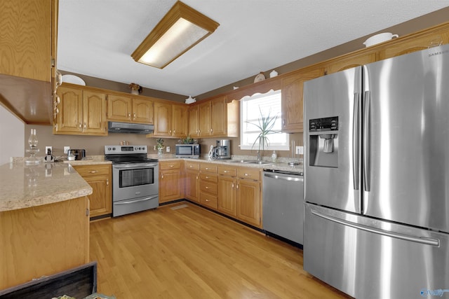 kitchen with light hardwood / wood-style floors, sink, and appliances with stainless steel finishes