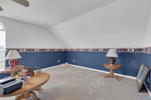 sitting room featuring lofted ceiling, a textured ceiling, and carpet floors