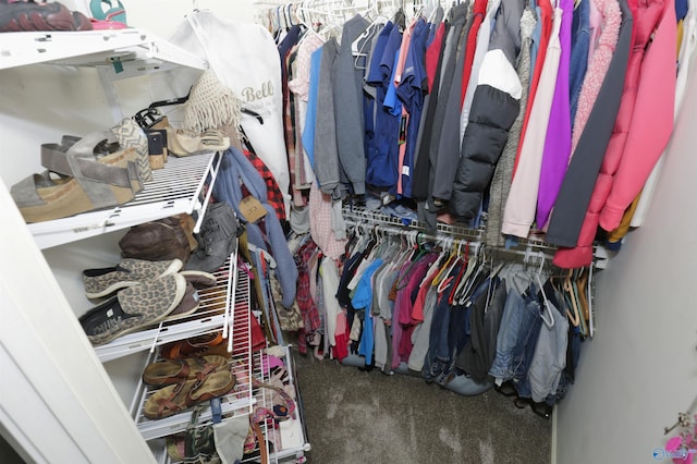 walk in closet featuring carpet