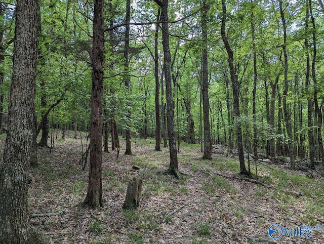 Listing photo 3 for 40ACRES Berry Rd, Brownsboro AL 35741