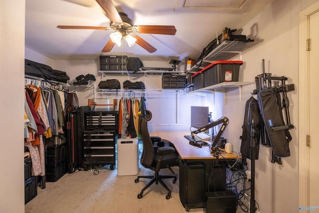 610 Grover Davis Rd, Hamilton, AL 35570 - office area featuring ceiling fan and carpet floors
