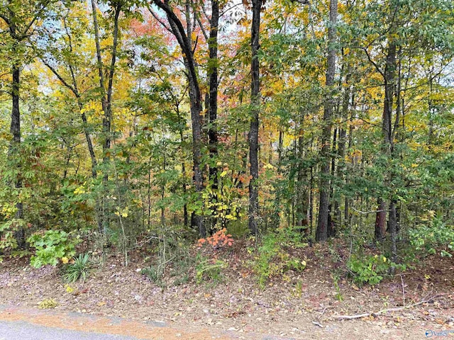 LOT8 White St, Gadsden AL, 35901 land for sale