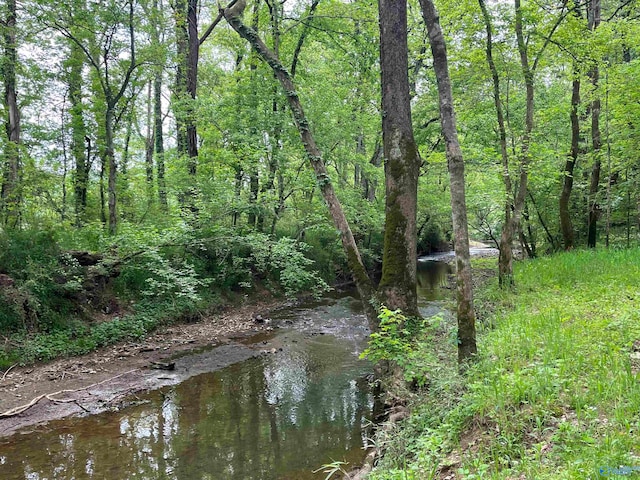 view of local wilderness with a water view