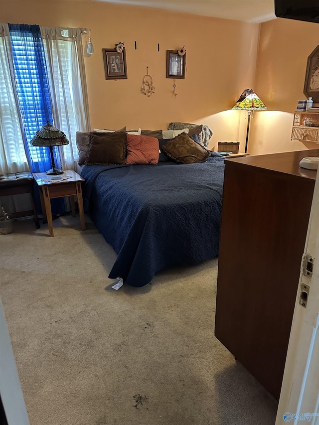 1212 Twin Lake Cir SW, Hartselle, AL 35640 - view of carpeted bedroom