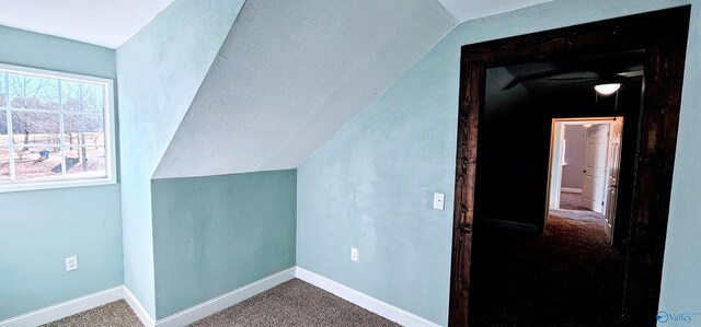 additional living space with lofted ceiling, carpet, and baseboards