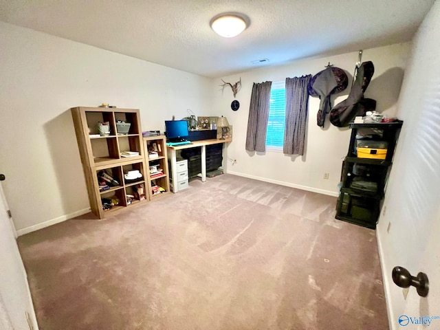 miscellaneous room featuring carpet and a textured ceiling