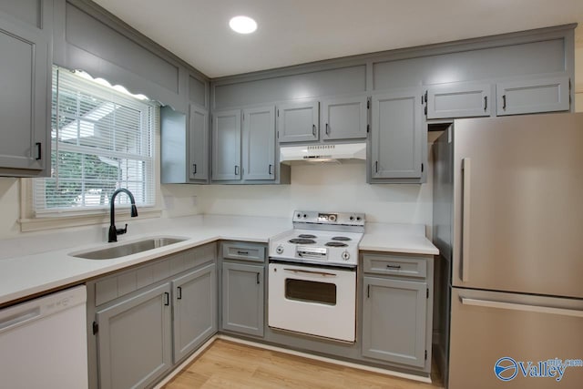 kitchen featuring gray cabinetry, under cabinet range hood, a sink, white appliances, and light countertops