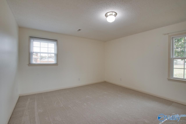 empty room with a healthy amount of sunlight, light colored carpet, and a textured ceiling