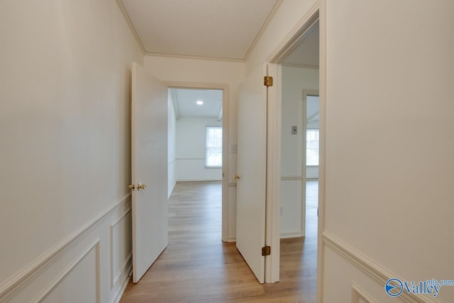 hallway with a decorative wall, light wood-style flooring, crown molding, and a wainscoted wall