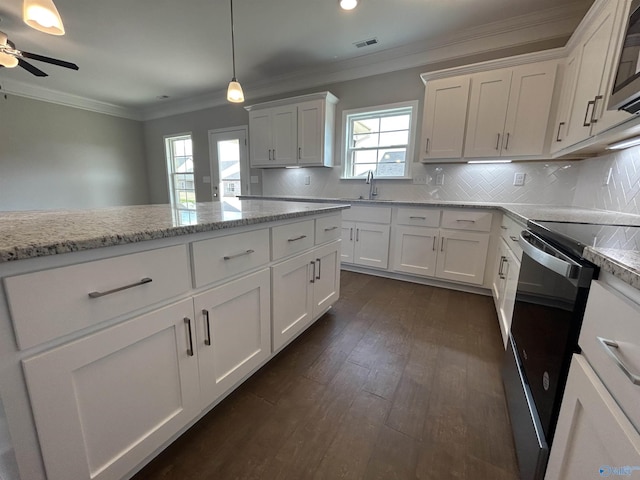 kitchen with light stone countertops, dark hardwood / wood-style flooring, white cabinetry, and backsplash