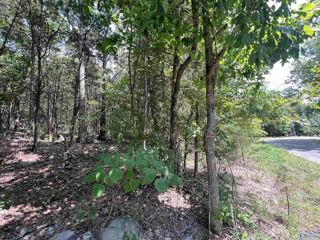 1.9ACRES Korgan Ave E, Laceys Spring AL, 35754 land for sale