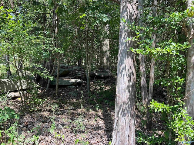 Listing photo 3 for 1.9ACRES Korgan Ave E, Laceys Spring AL 35754