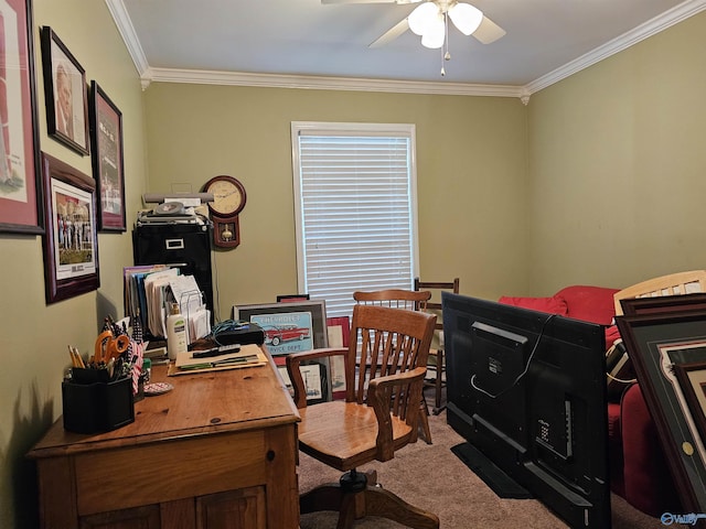 809 Kyle Rd NE, Hartselle, AL 35640 - carpeted office with ornamental molding and a ceiling fan