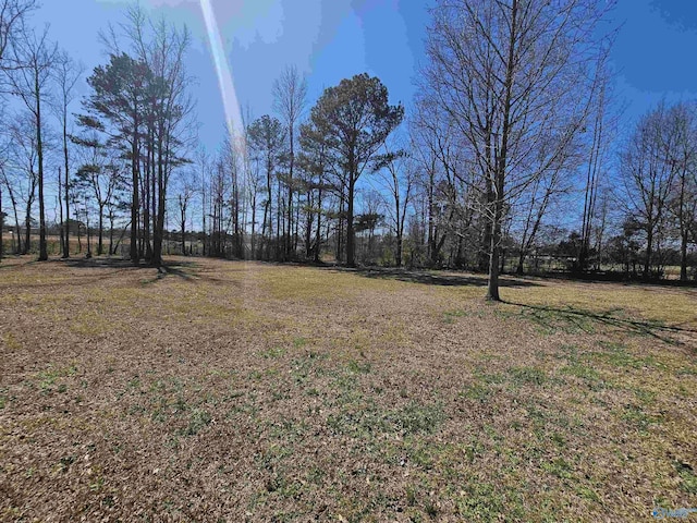 809 Kyle Rd NE, Hartselle, AL 35640 - view of yard