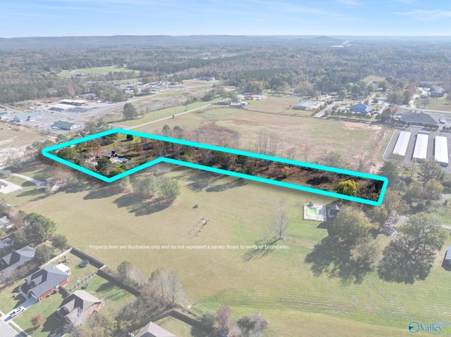 birds eye view of property featuring a rural view