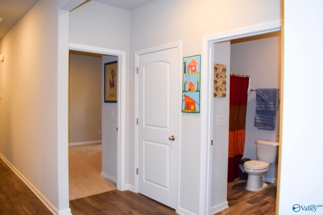 117 Edensmith Dr, New Market, AL 35761 - corridor with dark wood-style floors and baseboards