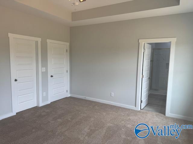 17194 Red Hill Rd, Athens, AL 35611 - unfurnished bedroom featuring carpet floors, a tray ceiling, and ensuite bath