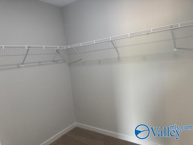 17194 Red Hill Rd, Athens, AL 35611 - walk in closet with dark colored carpet