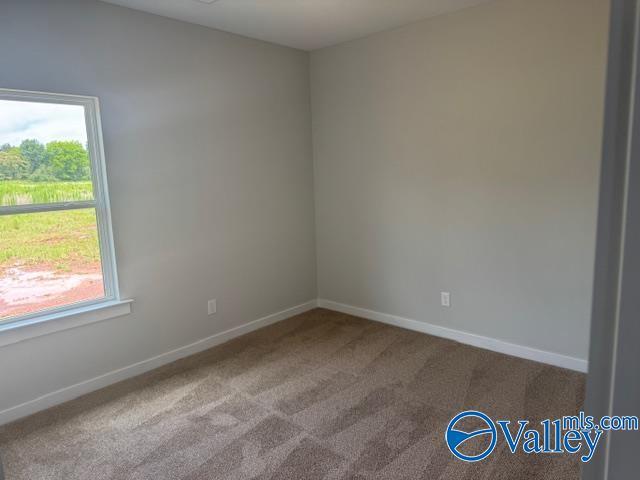 17194 Red Hill Rd, Athens, AL 35611 - unfurnished room with carpet floors and baseboards