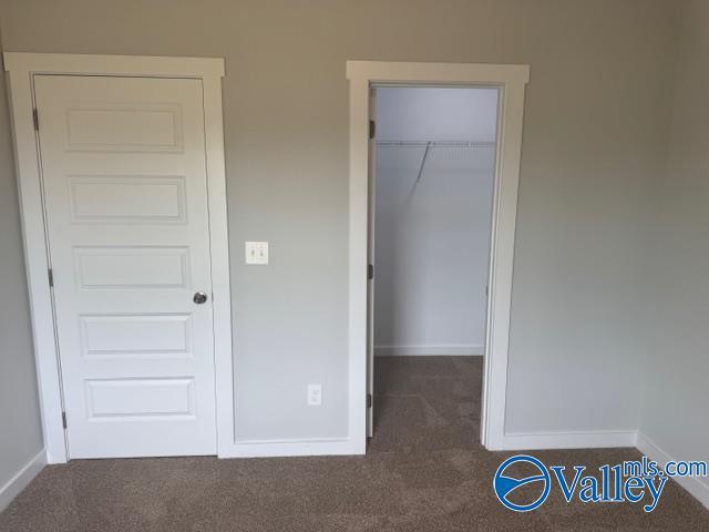17194 Red Hill Rd, Athens, AL 35611 - unfurnished bedroom featuring carpet floors, a spacious closet, and a closet