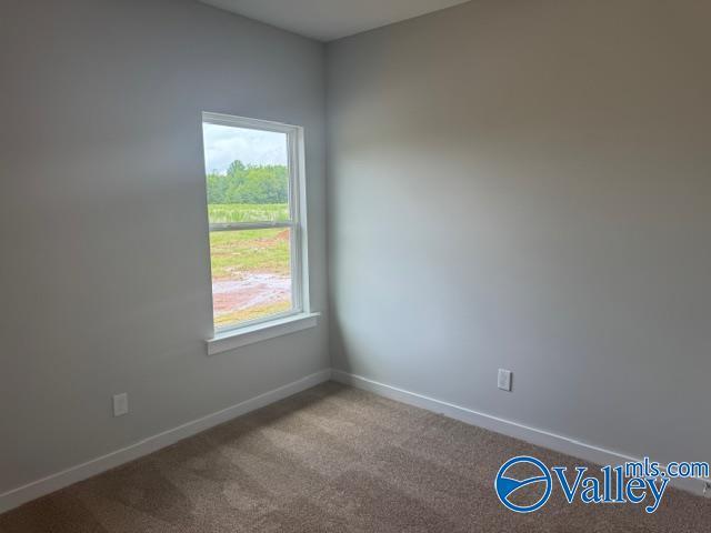 17194 Red Hill Rd, Athens, AL 35611 - carpeted spare room featuring baseboards
