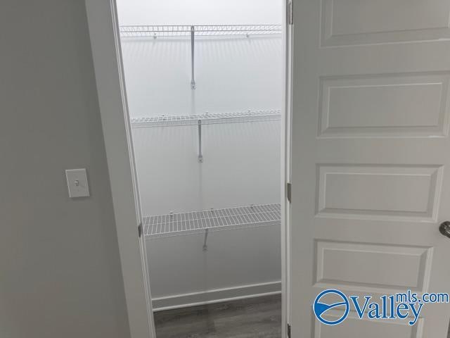 17194 Red Hill Rd, Athens, AL 35611 - view of closet