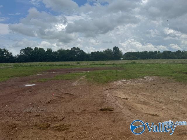 17194 Red Hill Rd, Athens, AL 35611 - view of yard with a rural view