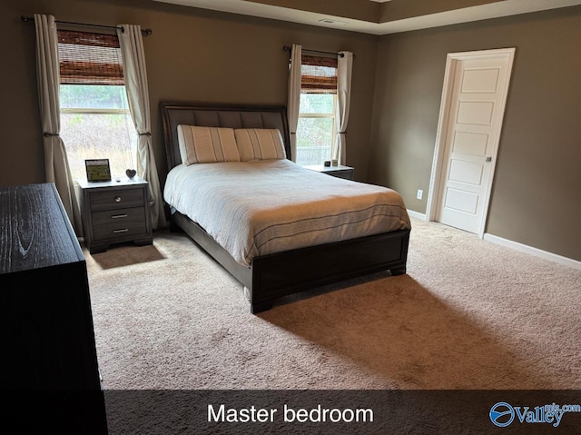 bedroom with baseboards and carpet floors