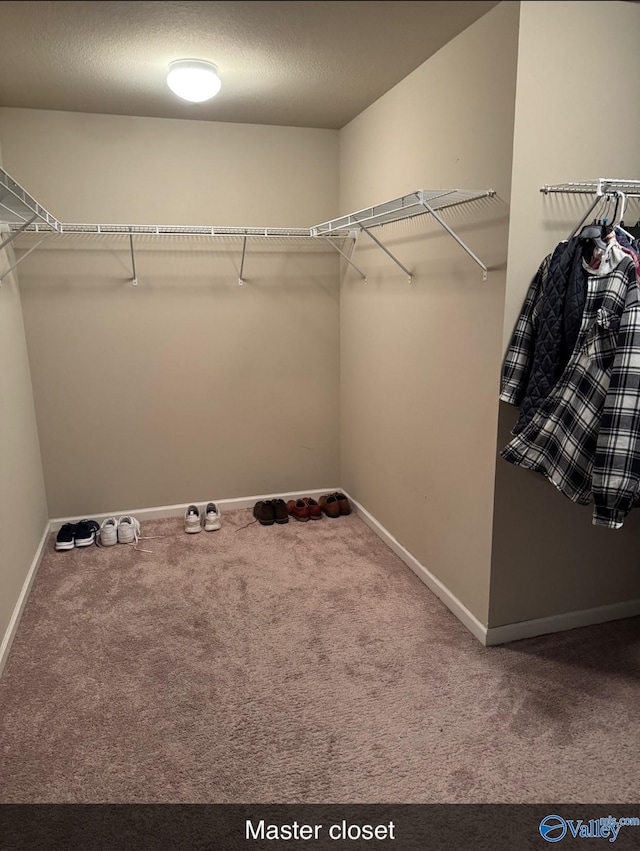 spacious closet with carpet