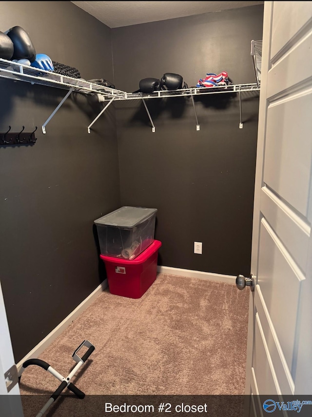 walk in closet featuring carpet flooring