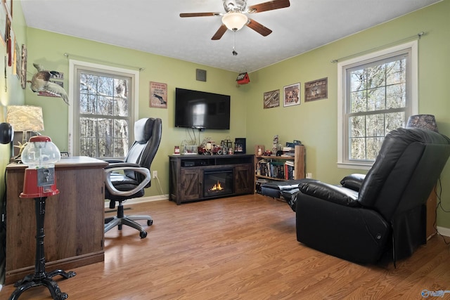 office area with ceiling fan, light hardwood / wood-style flooring, and a healthy amount of sunlight