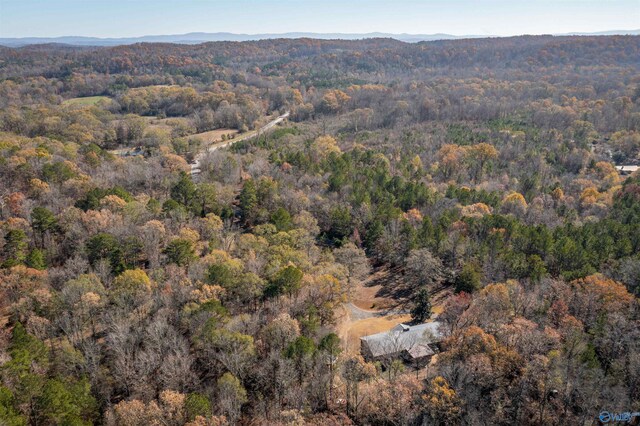 bird's eye view