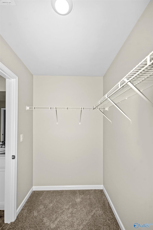 165 Meadowridge Dr, Hazel Green, AL 35750 - walk in closet featuring carpet