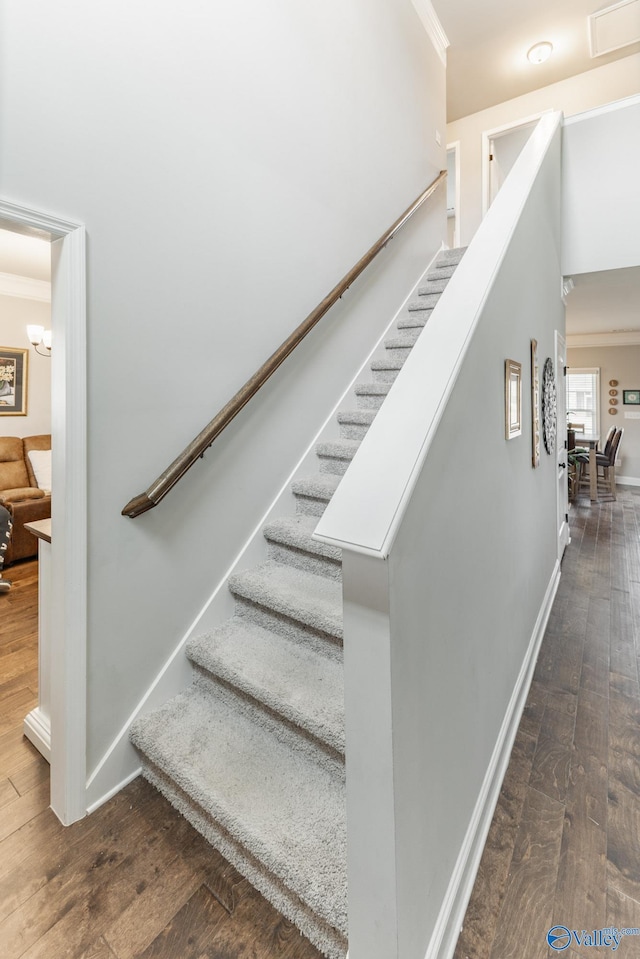 stairway featuring hardwood / wood-style flooring and ornamental molding