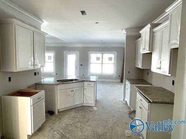 kitchen featuring crown molding, sink, and white cabinets