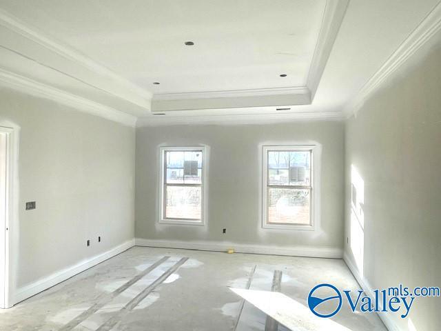 unfurnished room featuring a raised ceiling and ornamental molding