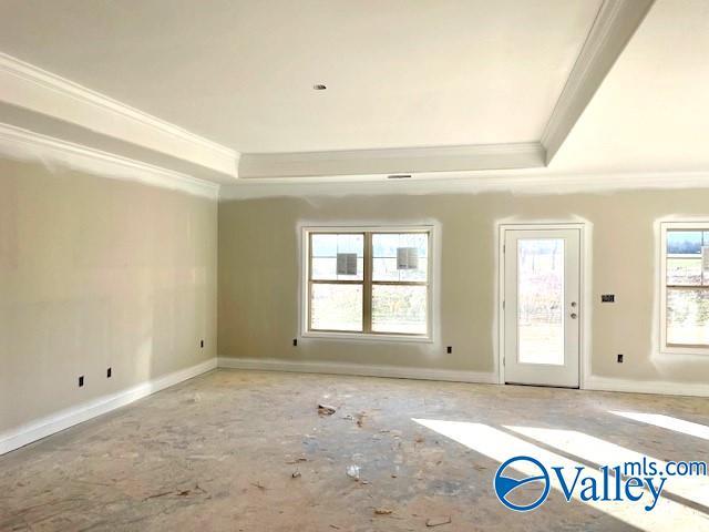 empty room featuring a raised ceiling and ornamental molding