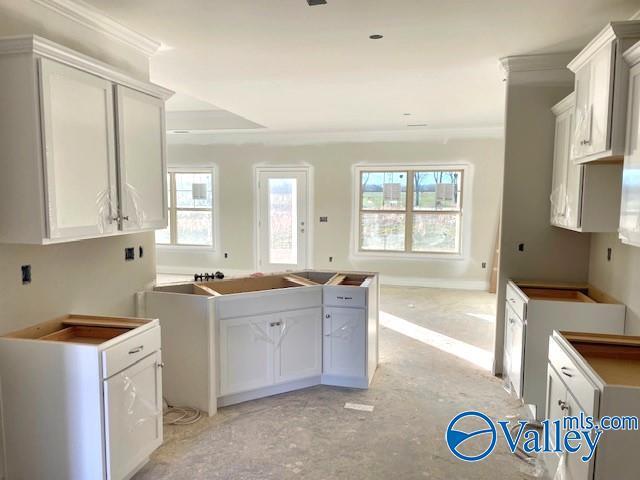 kitchen featuring white cabinetry and crown molding