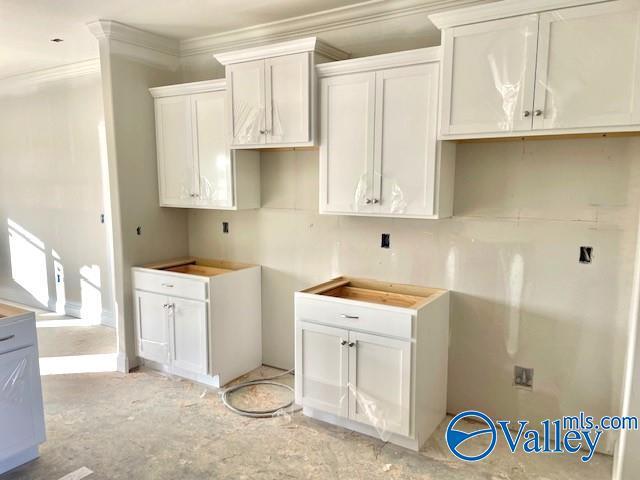 clothes washing area featuring crown molding