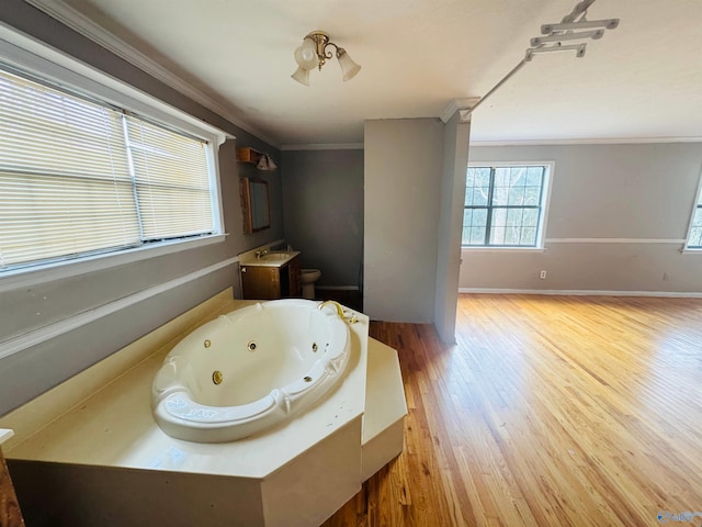 bathroom featuring baseboards, a tub with jets, ornamental molding, wood finished floors, and vanity