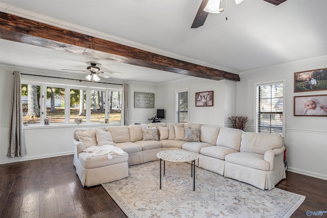 living room with beamed ceiling, hardwood / wood-style flooring, ceiling fan, and ornamental molding