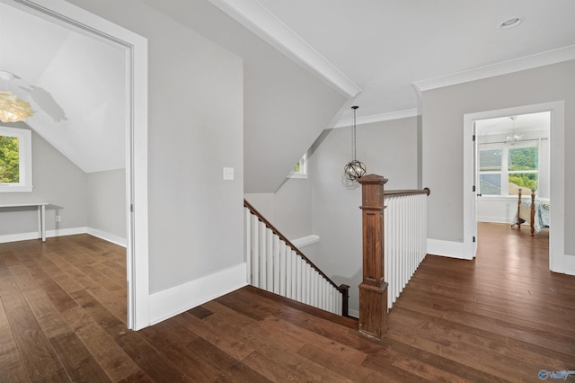 interior space featuring a wealth of natural light, dark wood finished floors, and an upstairs landing