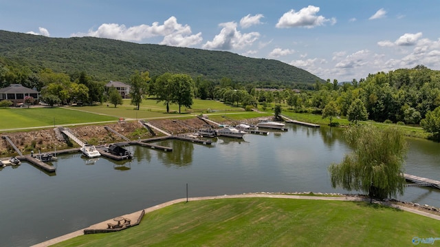 water view with a mountain view