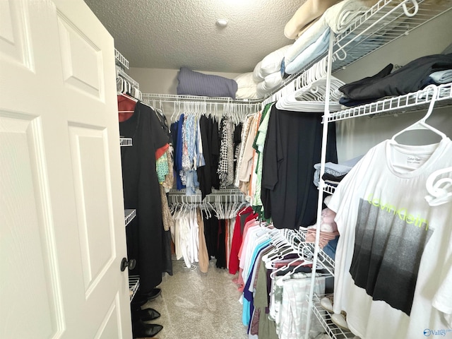 2072 Madison Villas Way Unit 2072, Madison, AL 35758 - spacious closet featuring carpet