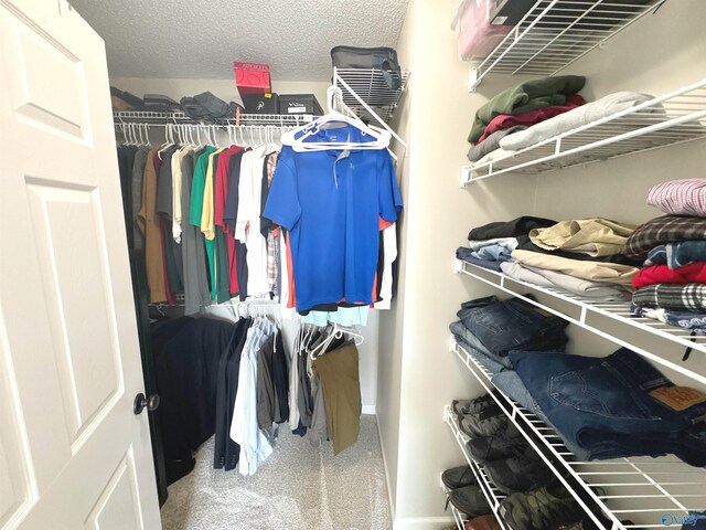2072 Madison Villas Way Unit 2072, Madison, AL 35758 - spacious closet with carpet